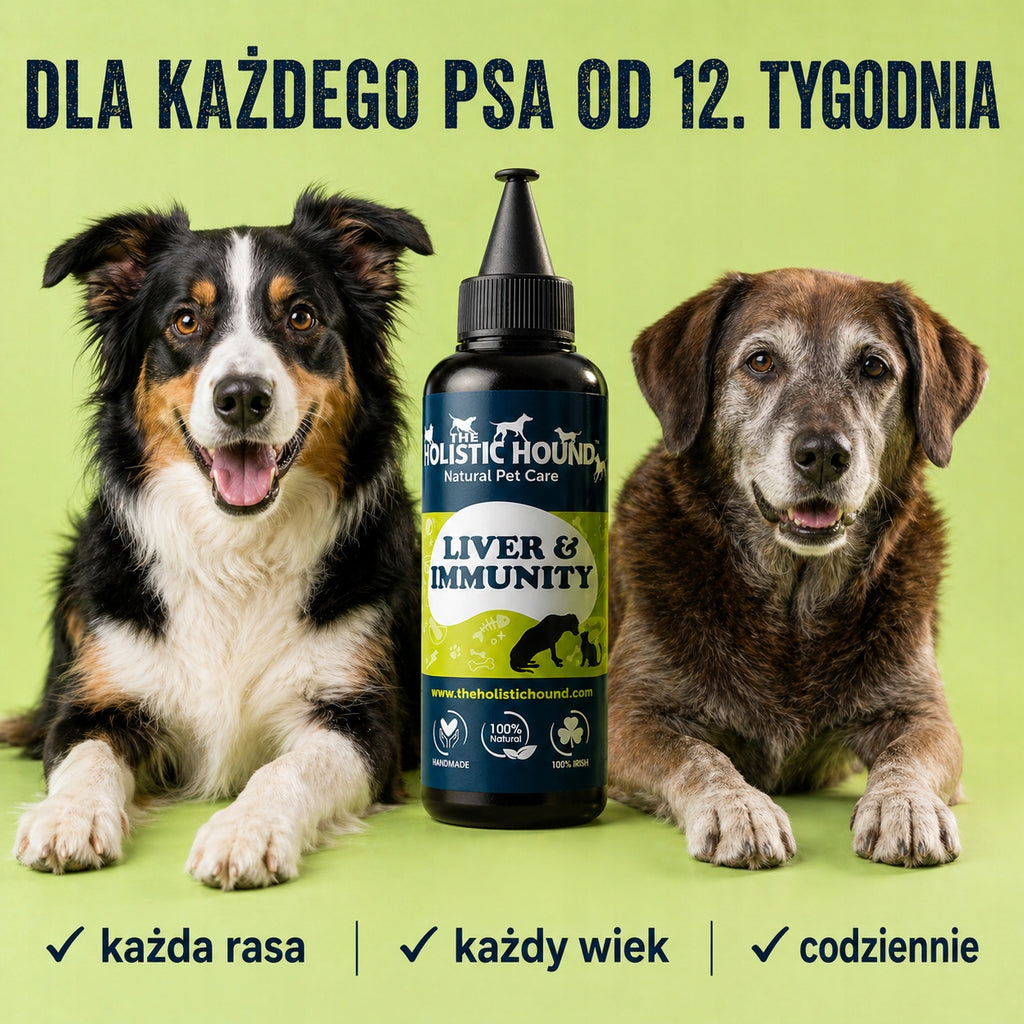 Suplement Na Wątrobę i Odporność Dla Psa | Omega 3 i Zioła | 500ml