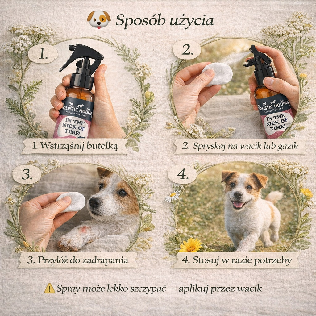 Holistic | Ziołowy Spray Na Rany Dla Psa| Otarcia Zadrapania | BIO Wegański