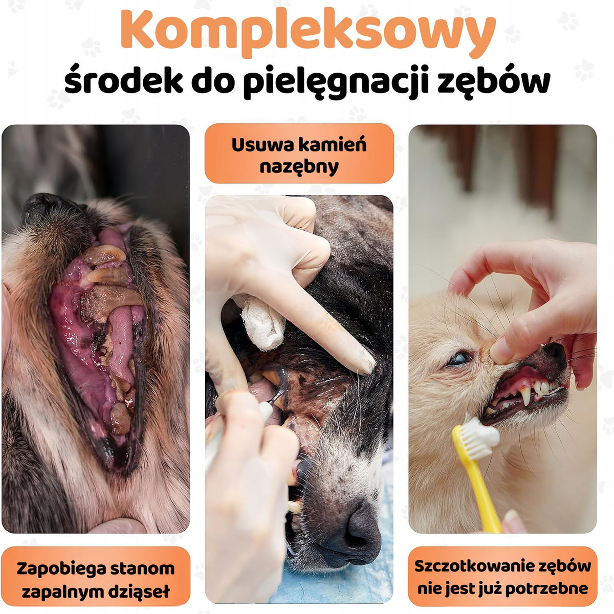 Naturalny Proszek na Kamień Nazębny Zdrowe zęby psa kota 200g WYDAJNY