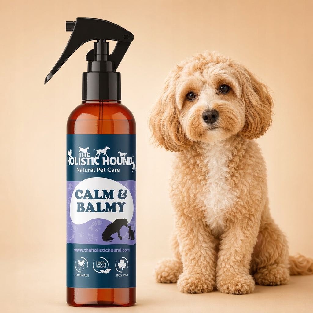 Holistic | Spray Uspokajający Dla Psa i Kota | Na Stres i Lęk | Ziołowy BIO