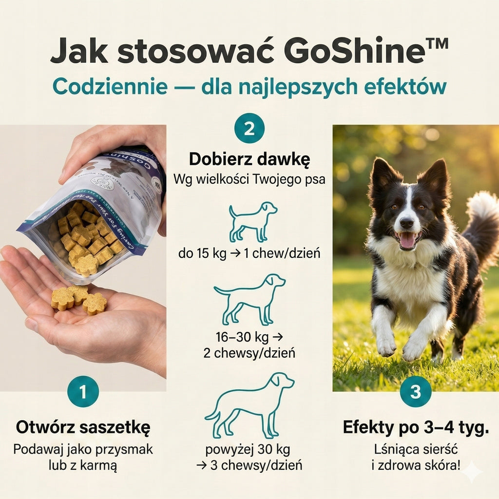 Naturalny suplement na sierść i skórę psa z alg morskich 60 sztuk