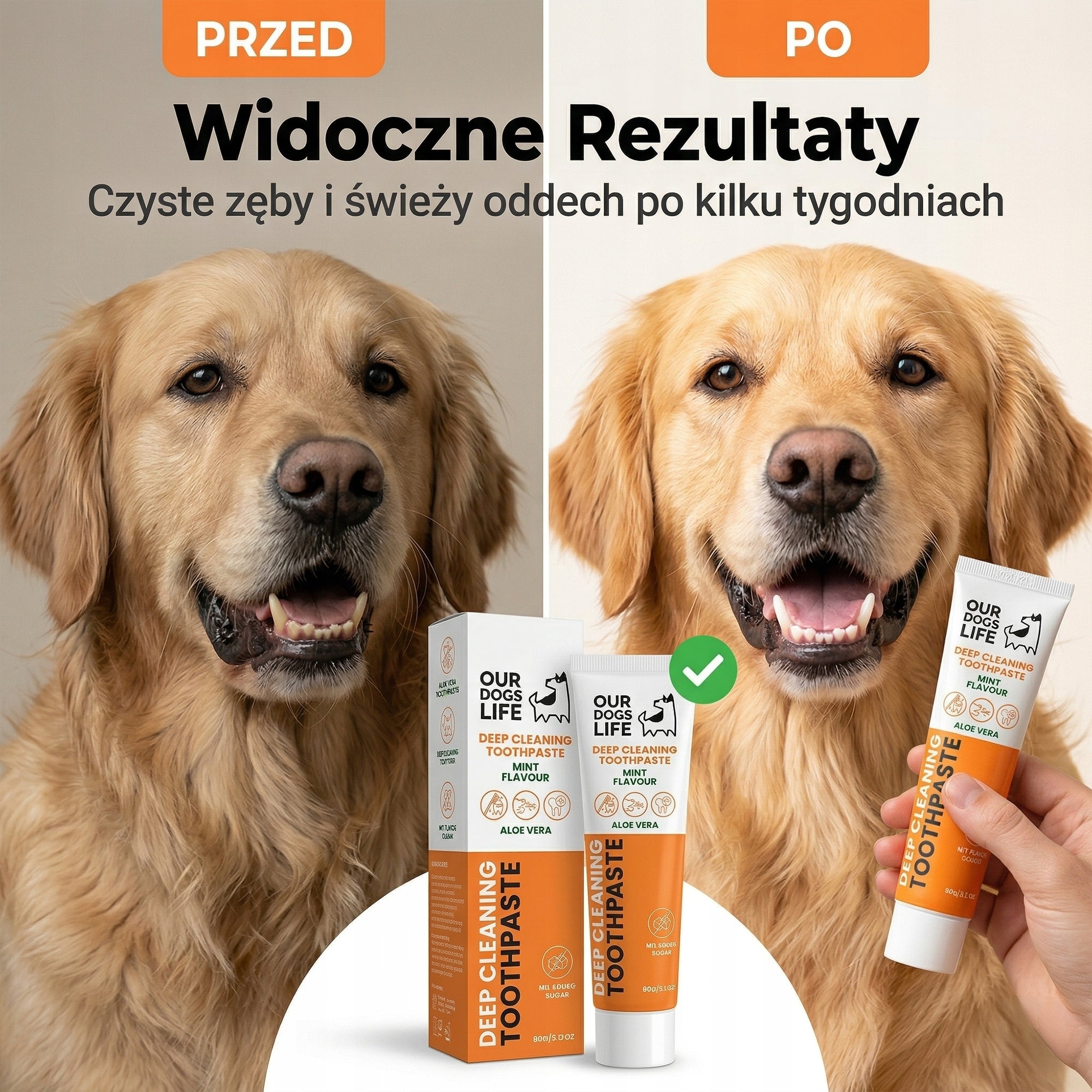 Pasta do Zębów Dla Psa | Głębokie Czyszczenie |Usuwa kamień | Miętowa | 90g