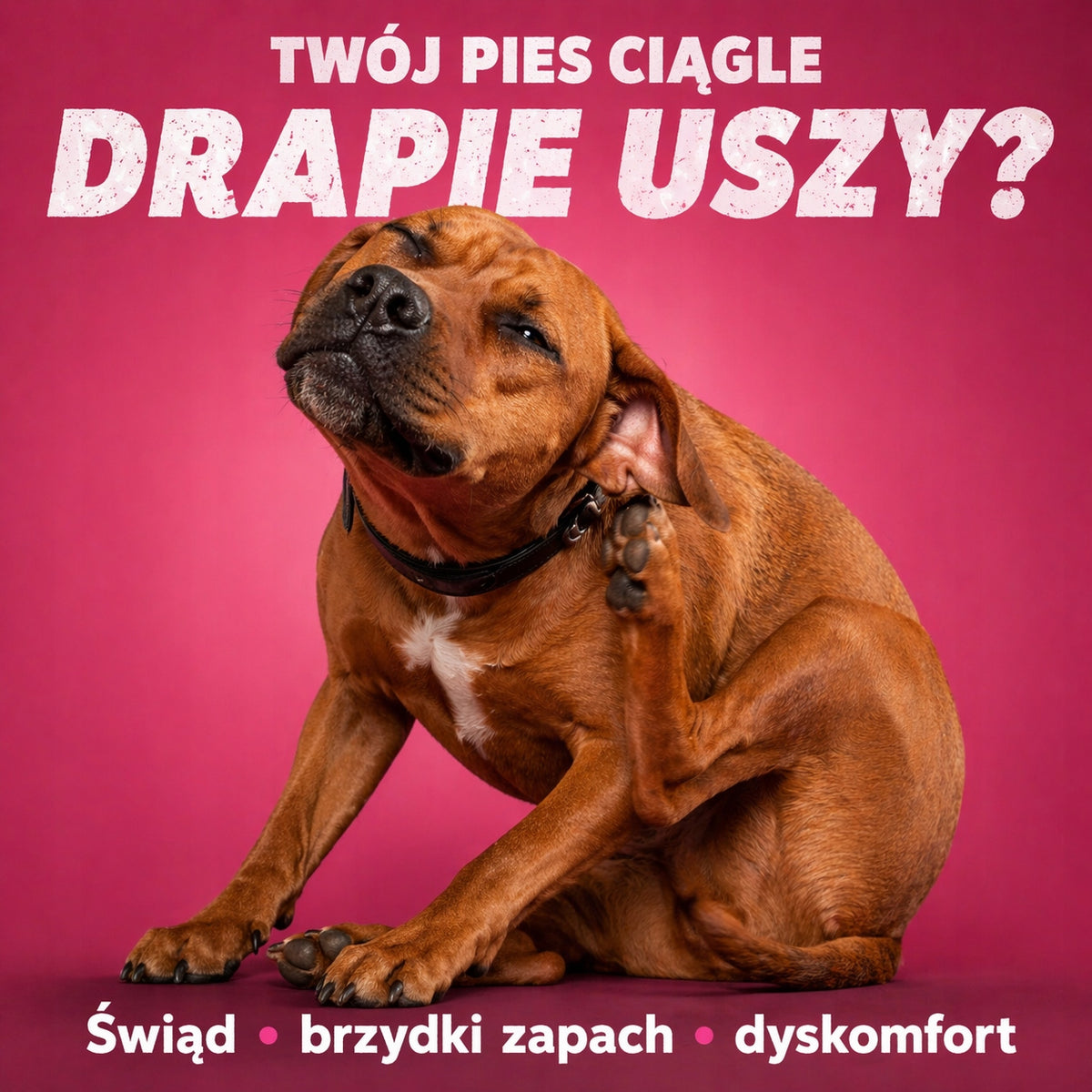Holistic | Płyn do Uszu Psa Kota | Świąd | Brzydki Zapach | Naturalny Skład