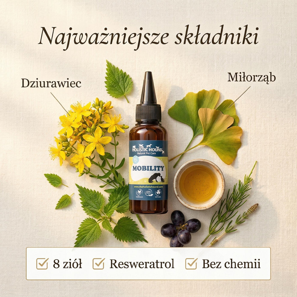 Ziołowy Suplement Na Stawy Psa | Mobilność i Komfort Ruchu | Naturalny