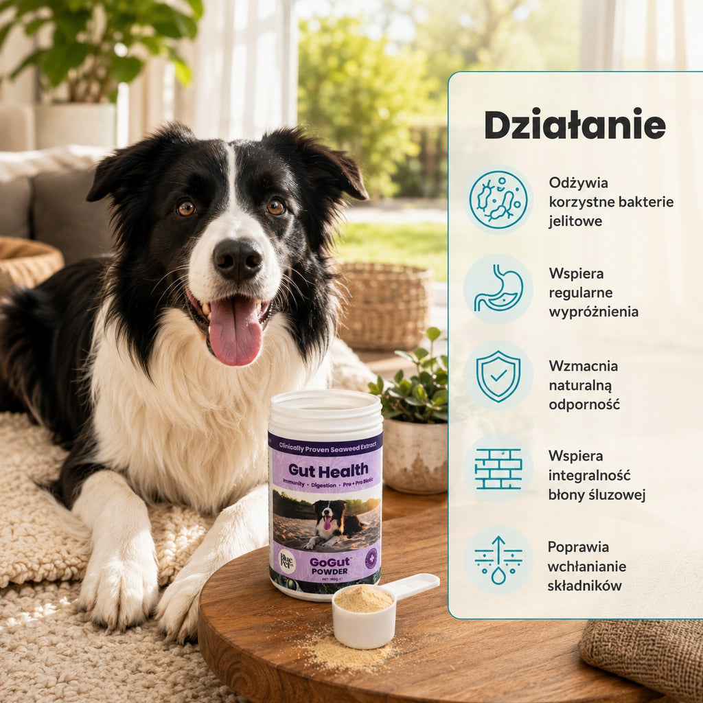 Suplement Na Trawienie i Jelita Dla Psa | Prebiotyk Probiotyk | 180g