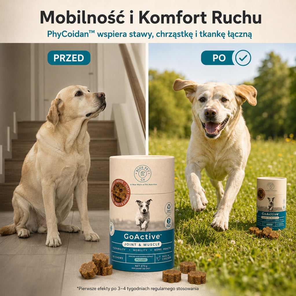 Suplement Na Stawy i Mięśnie Dla Psa | Z Kurczakiem | 270g | 90 Chews