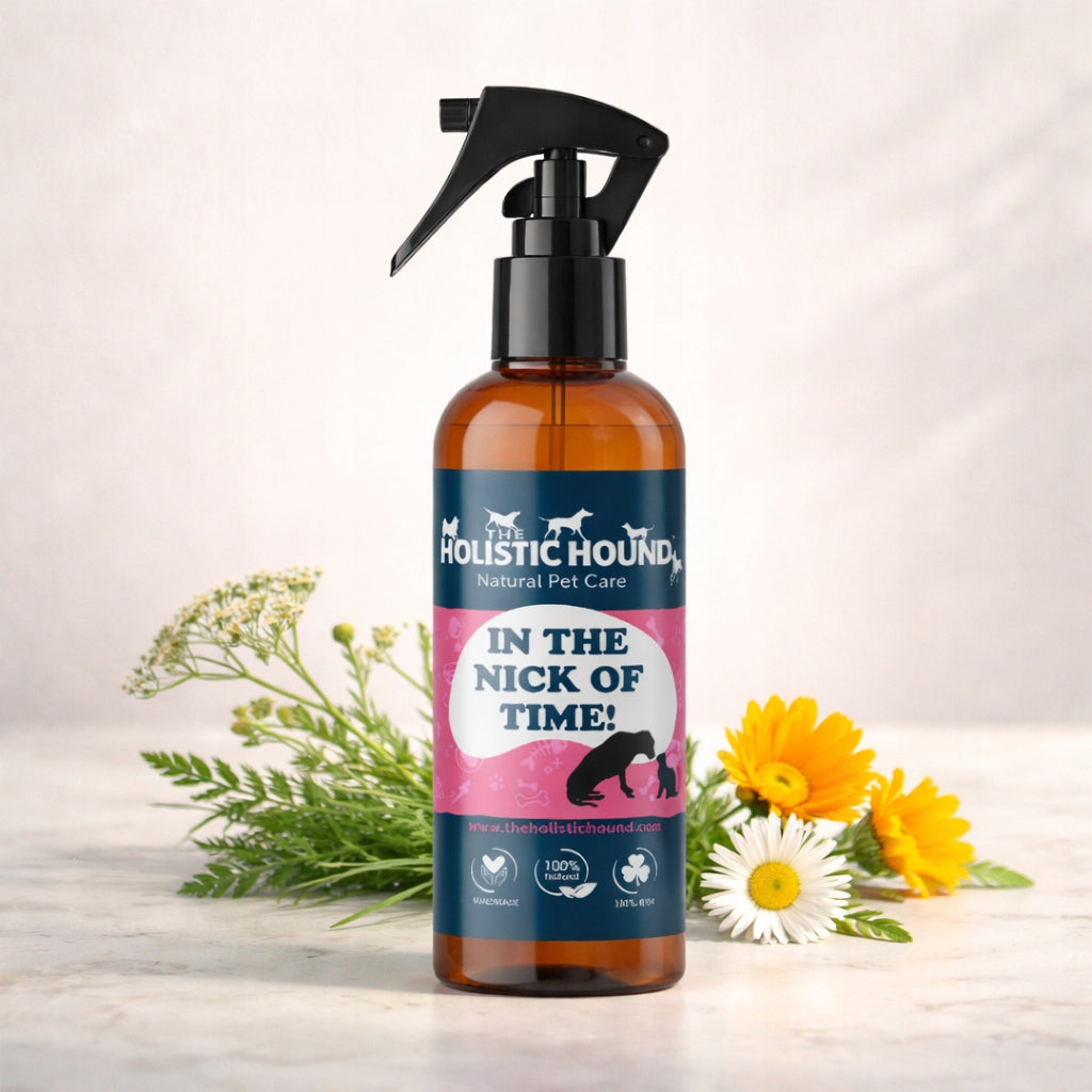 Holistic | Ziołowy Spray Na Rany Dla Psa| Otarcia Zadrapania | BIO Wegański