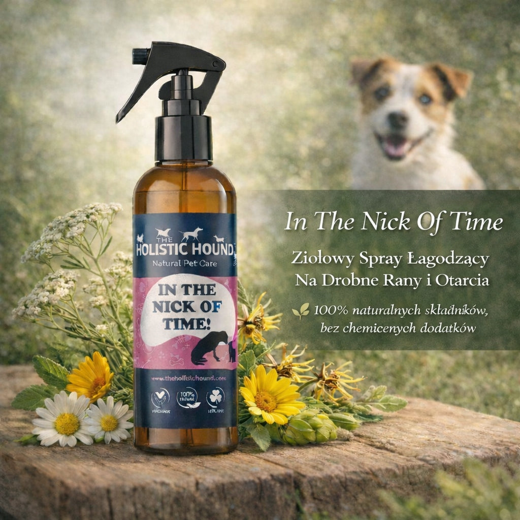 Holistic | Ziołowy Spray Na Rany Dla Psa| Otarcia Zadrapania | BIO Wegański