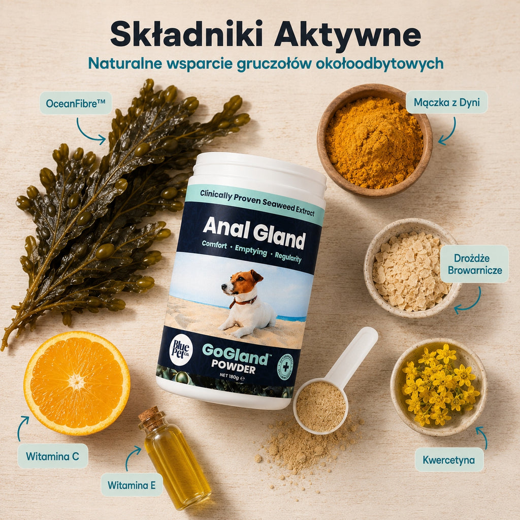 Suplement Na Gruczoły Okołoodbytowe Dla Psa | Z Wodorostów | Proszek 180g