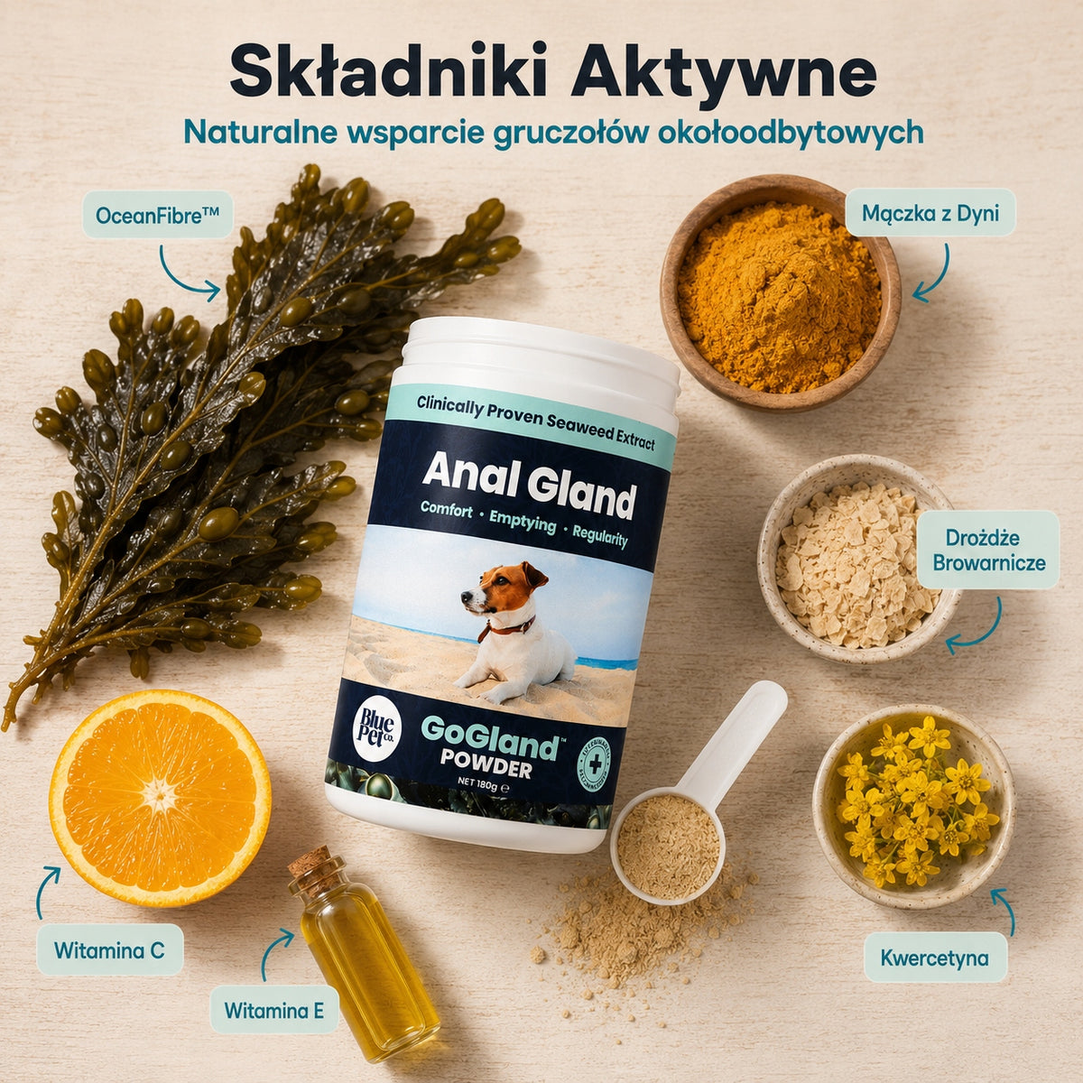 Suplement Na Gruczoły Okołoodbytowe Dla Psa | Z Wodorostów | Proszek 180g
