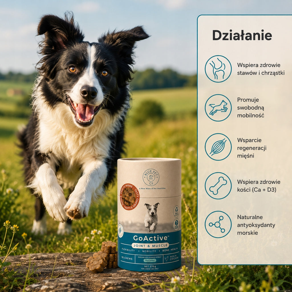 Suplement Na Stawy i Mięśnie Dla Psa | Z Kurczakiem | 270g | 90 Chews