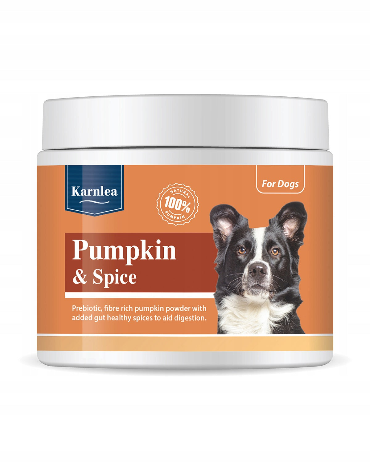 Naturalny suplement trawienny dla psa dynia imbir cynamon 200g