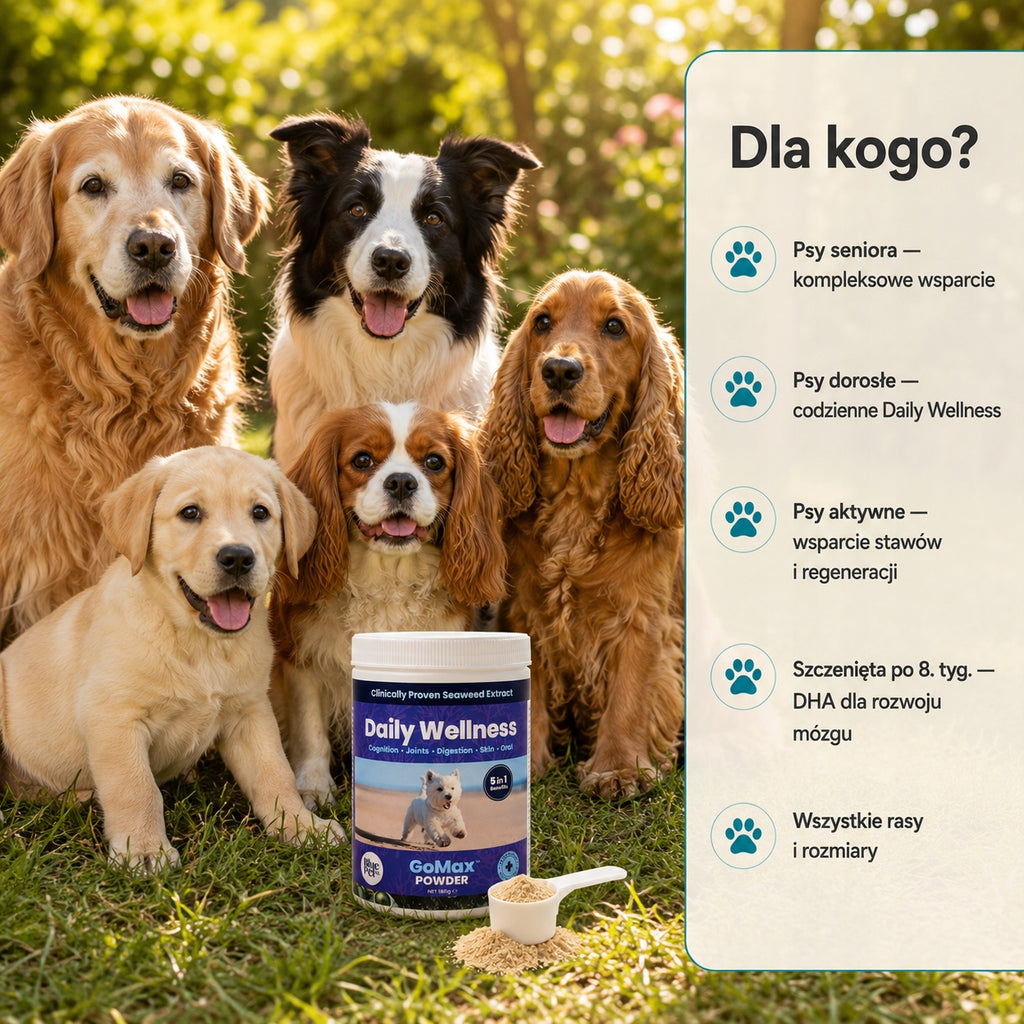 Suplement Na Stawy Skórę Trawienie Dla Psa 5w1 | Wodorosty | Proszek 180g