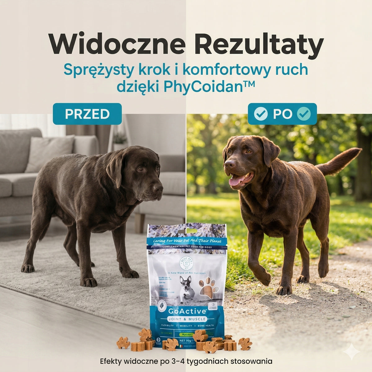 Suplement na stawy i mięśnie psa z alg morskich 30 gryzaków
