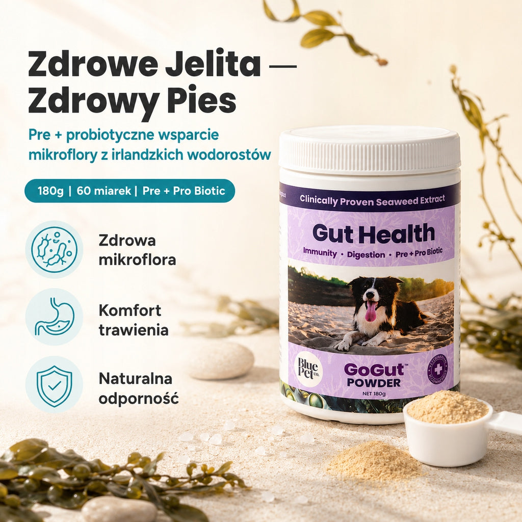 Suplement Na Trawienie i Jelita Dla Psa | Prebiotyk Probiotyk | 180g