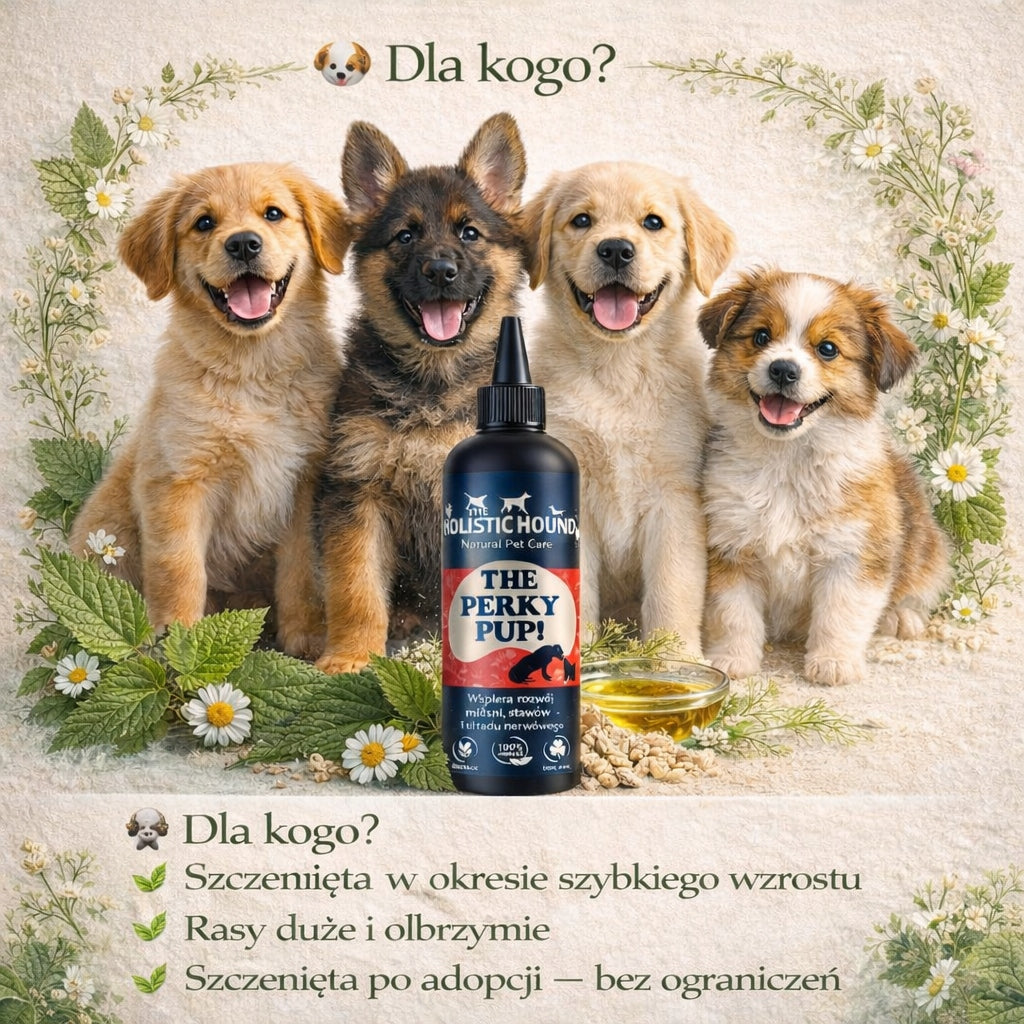 Kompleks Omega Dla Młodych Psów na Mięśnie Stawy Skórę Ukł. Nerwowy EPA,DHA