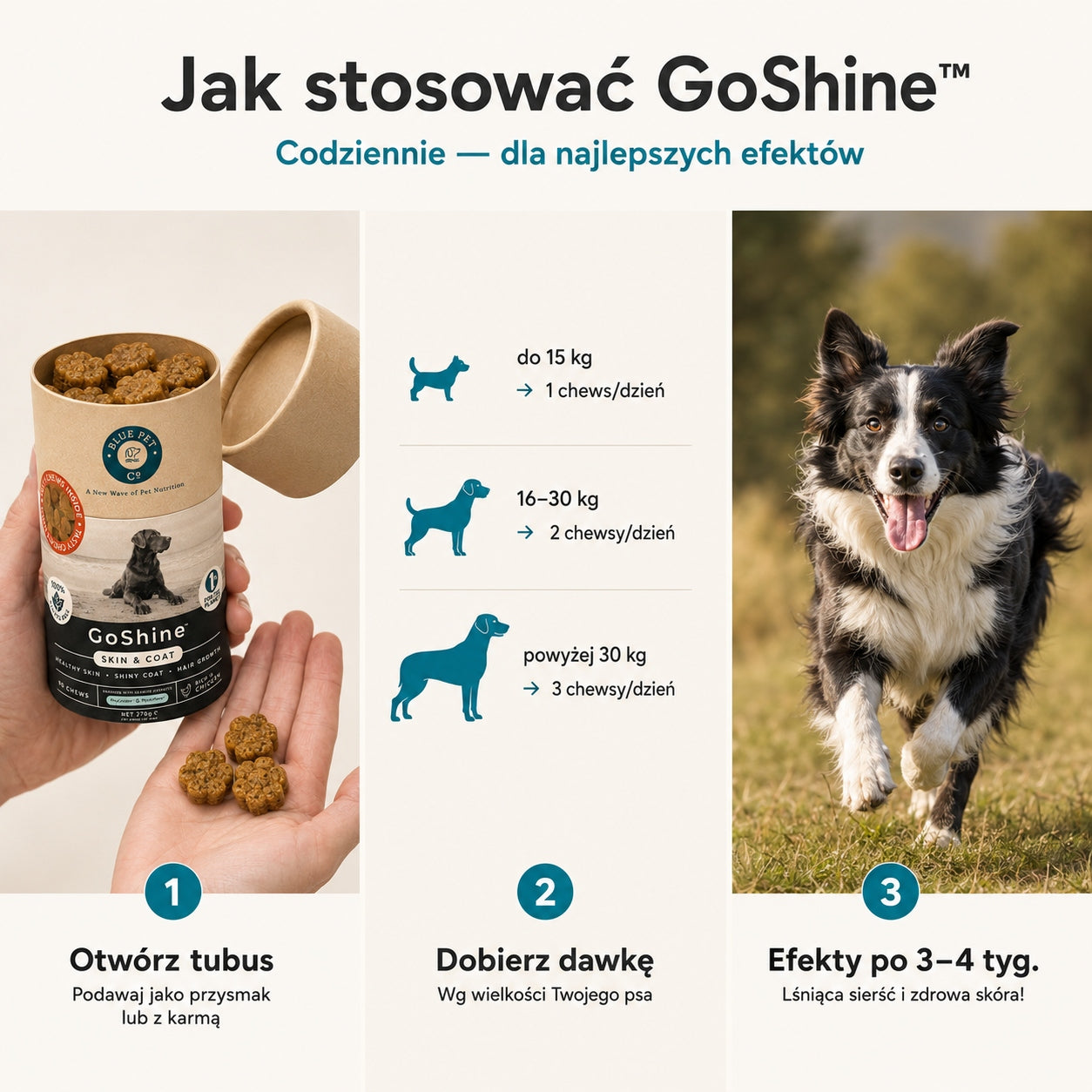 Suplement Na Sierść i Skórę Dla Psa | Z Kurczakiem | 270g | 90 Chews