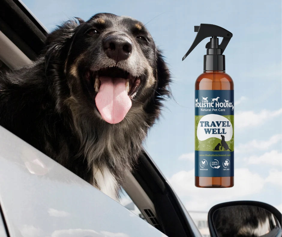Spray Na Chorobę Lokomocyjną Dla Psa | Na Podróż Samochodem | 100ml