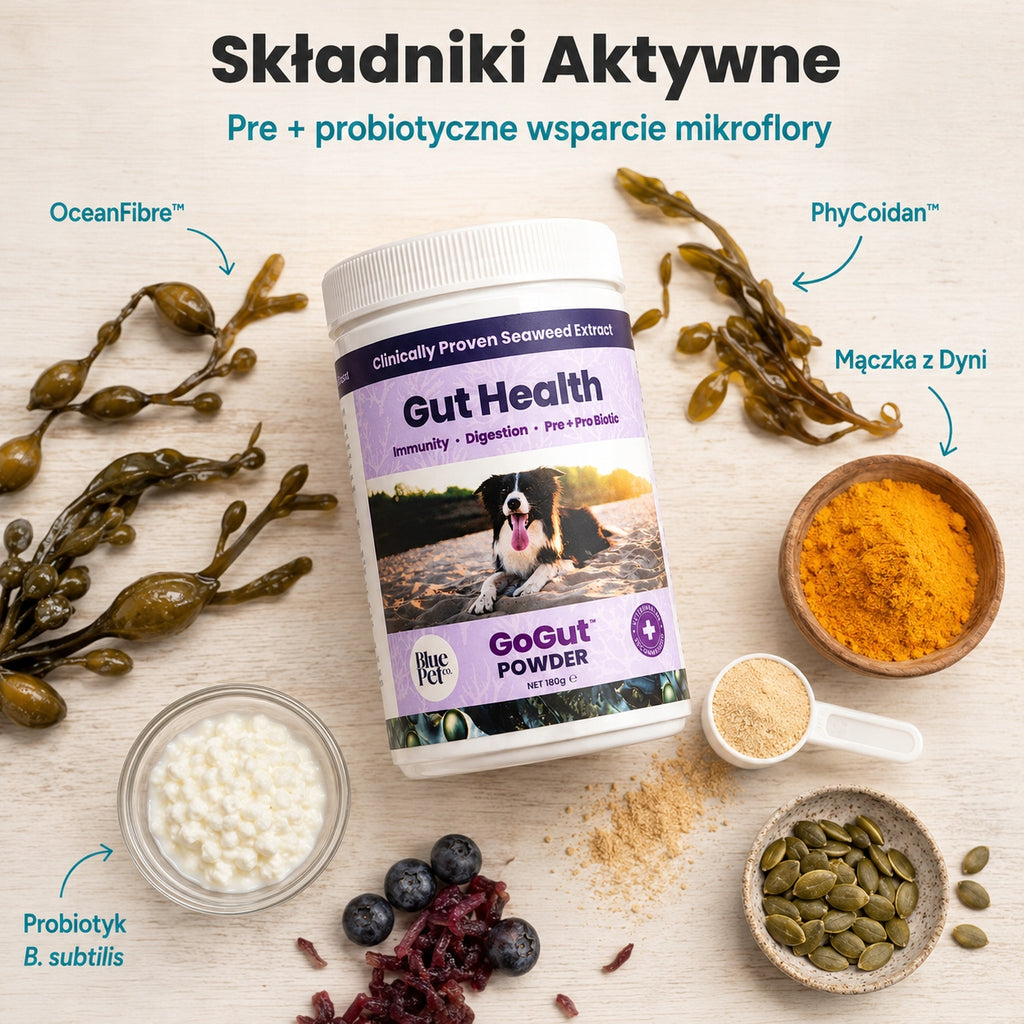 Suplement Na Trawienie i Jelita Dla Psa | Prebiotyk Probiotyk | 180g