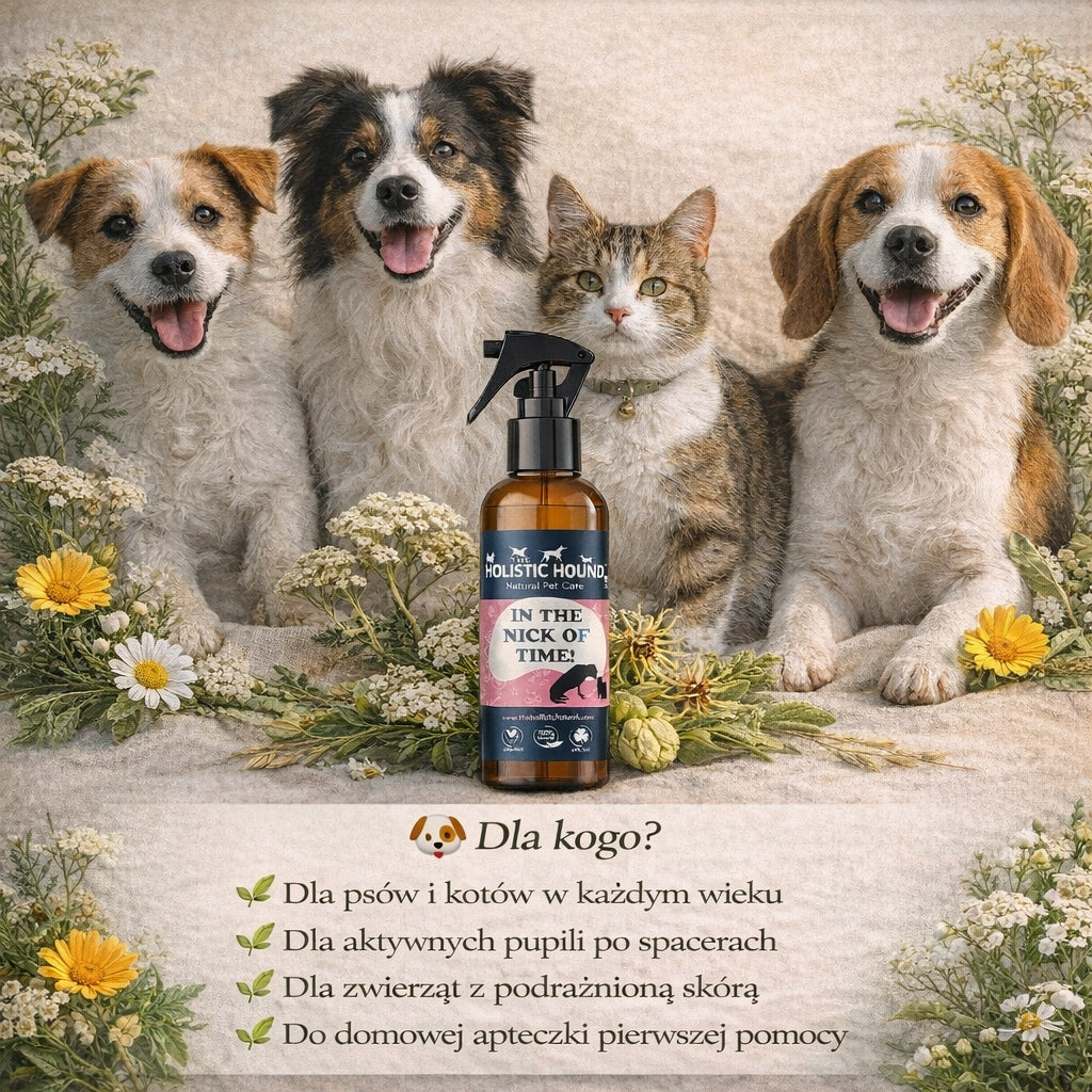 Holistic | Ziołowy Spray Na Rany Dla Psa| Otarcia Zadrapania | BIO Wegański