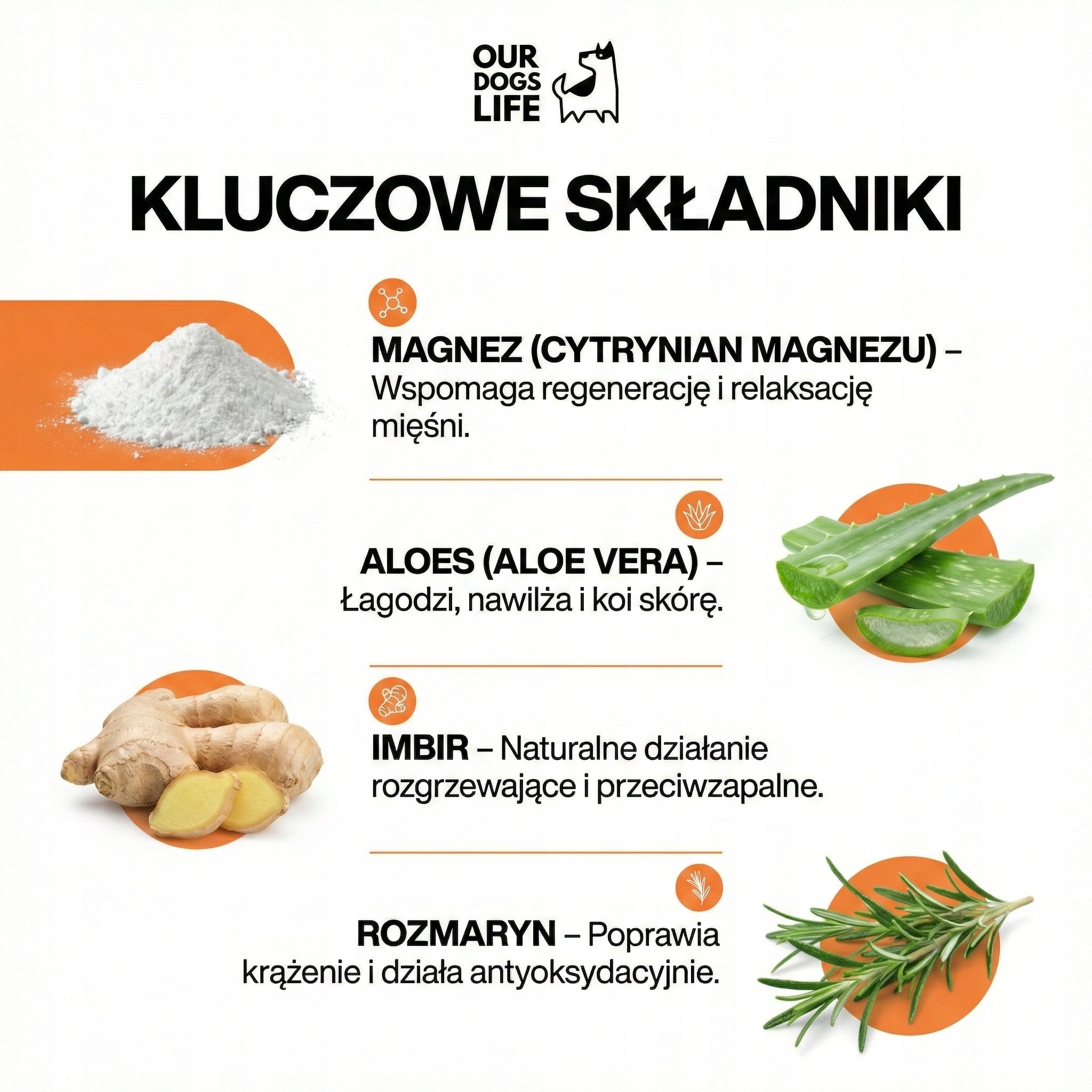 Żel Maść Płyn na Stawy i Mięśnie dla Aktywnych Psów, Ulga | Sól Epsom | MSM