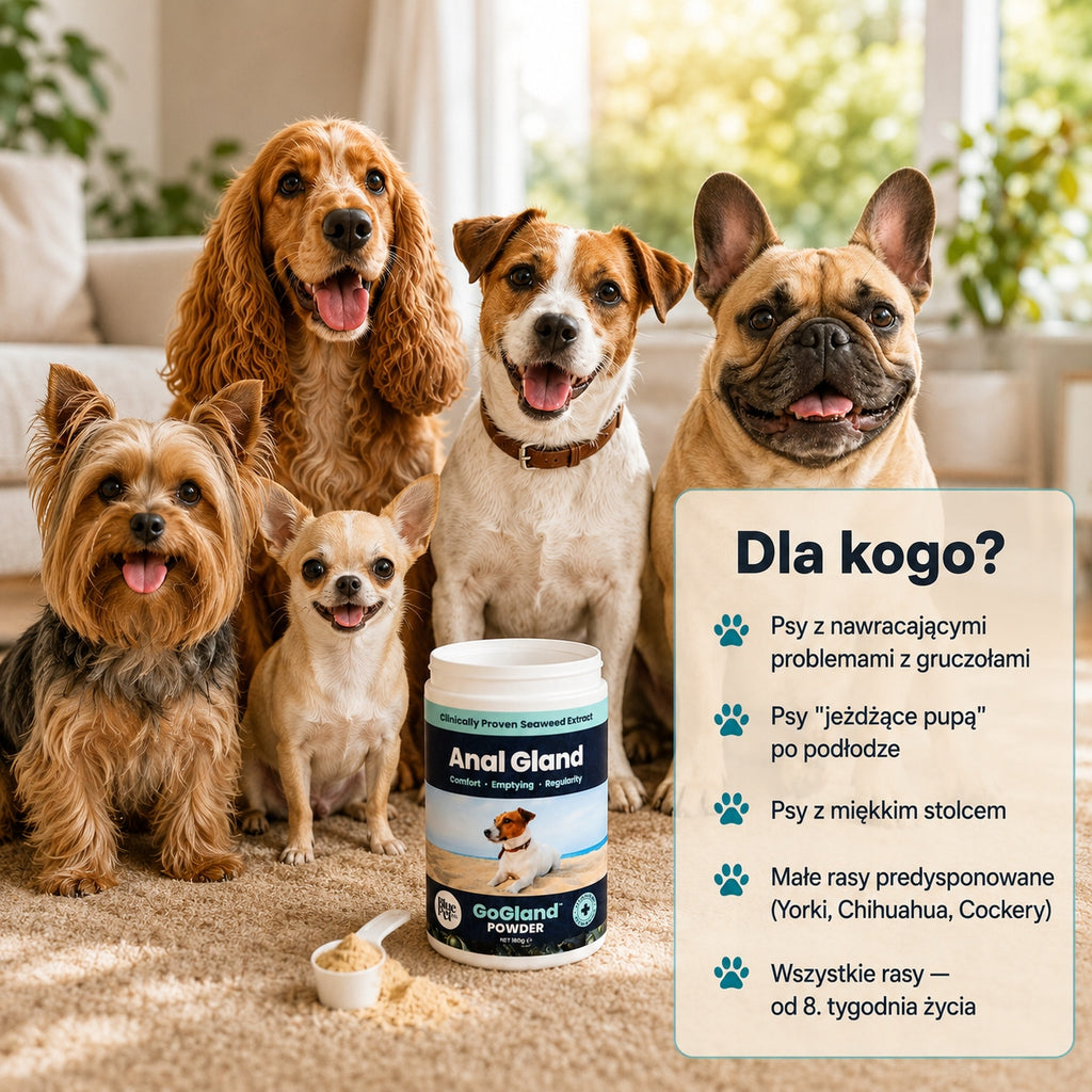 Suplement Na Gruczoły Okołoodbytowe Dla Psa | Z Wodorostów | Proszek 180g