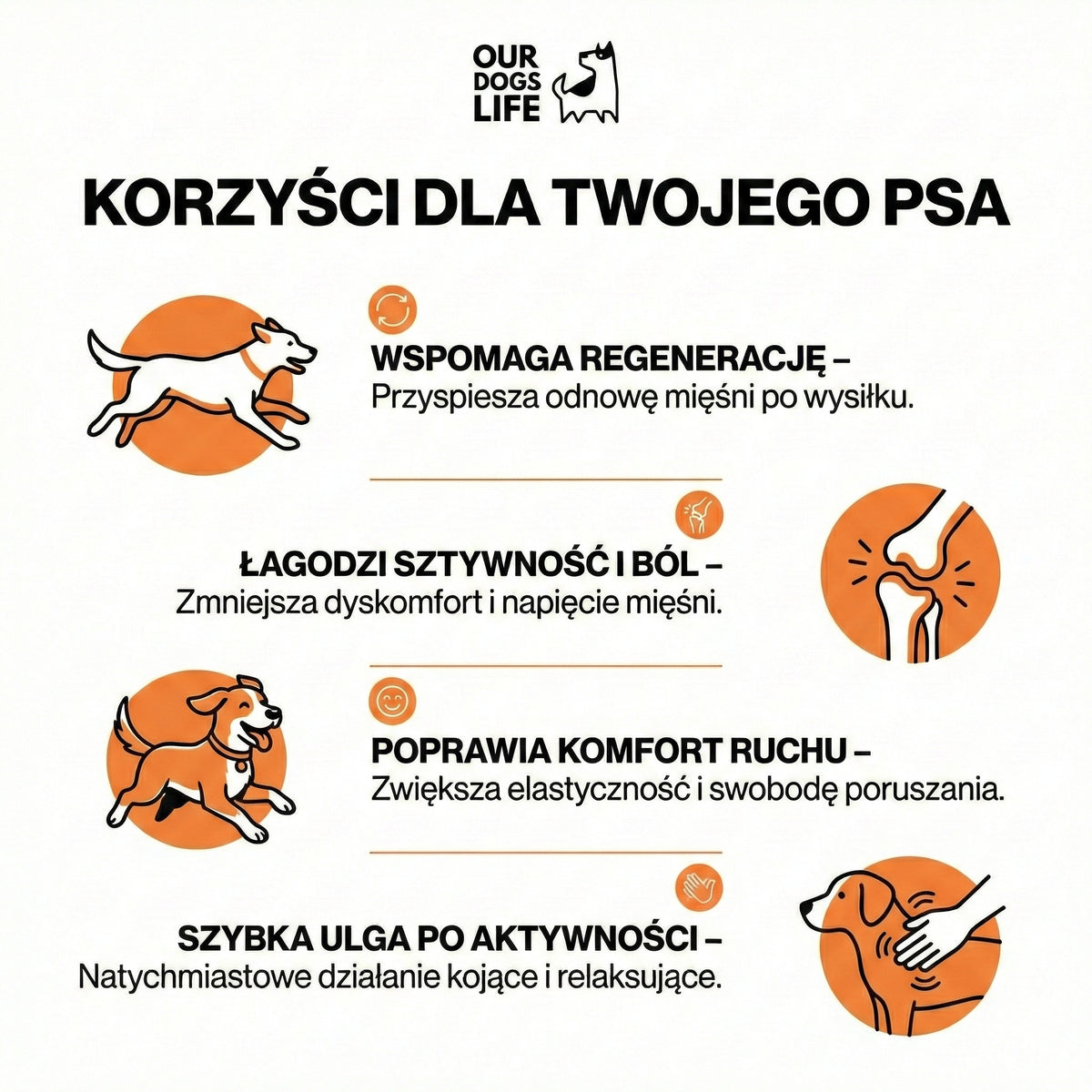 Żel Maść Płyn na Stawy i Mięśnie dla Aktywnych Psów, Ulga | Sól Epsom | MSM