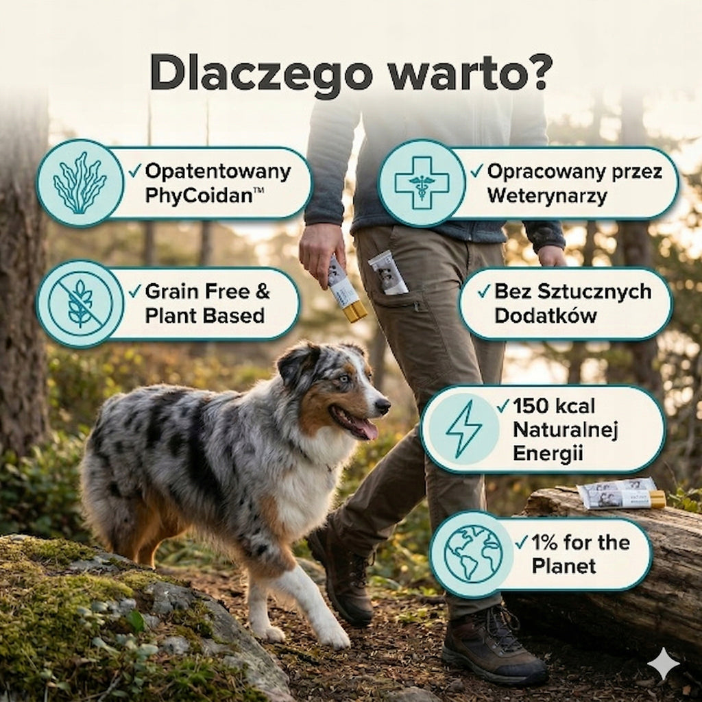 Naturalny baton energetyczny dla psa z alg morskich zestaw 5 sztuk