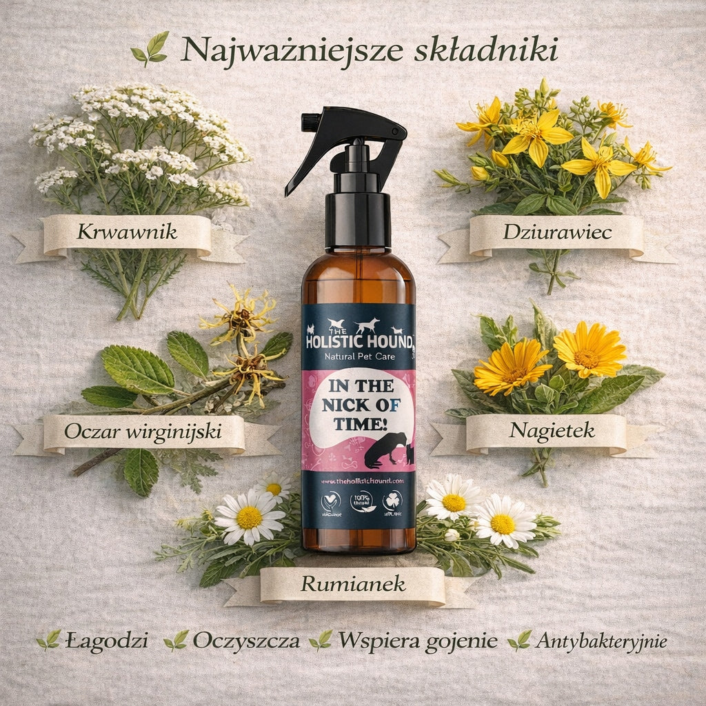 Holistic | Ziołowy Spray Na Rany Dla Psa| Otarcia Zadrapania | BIO Wegański