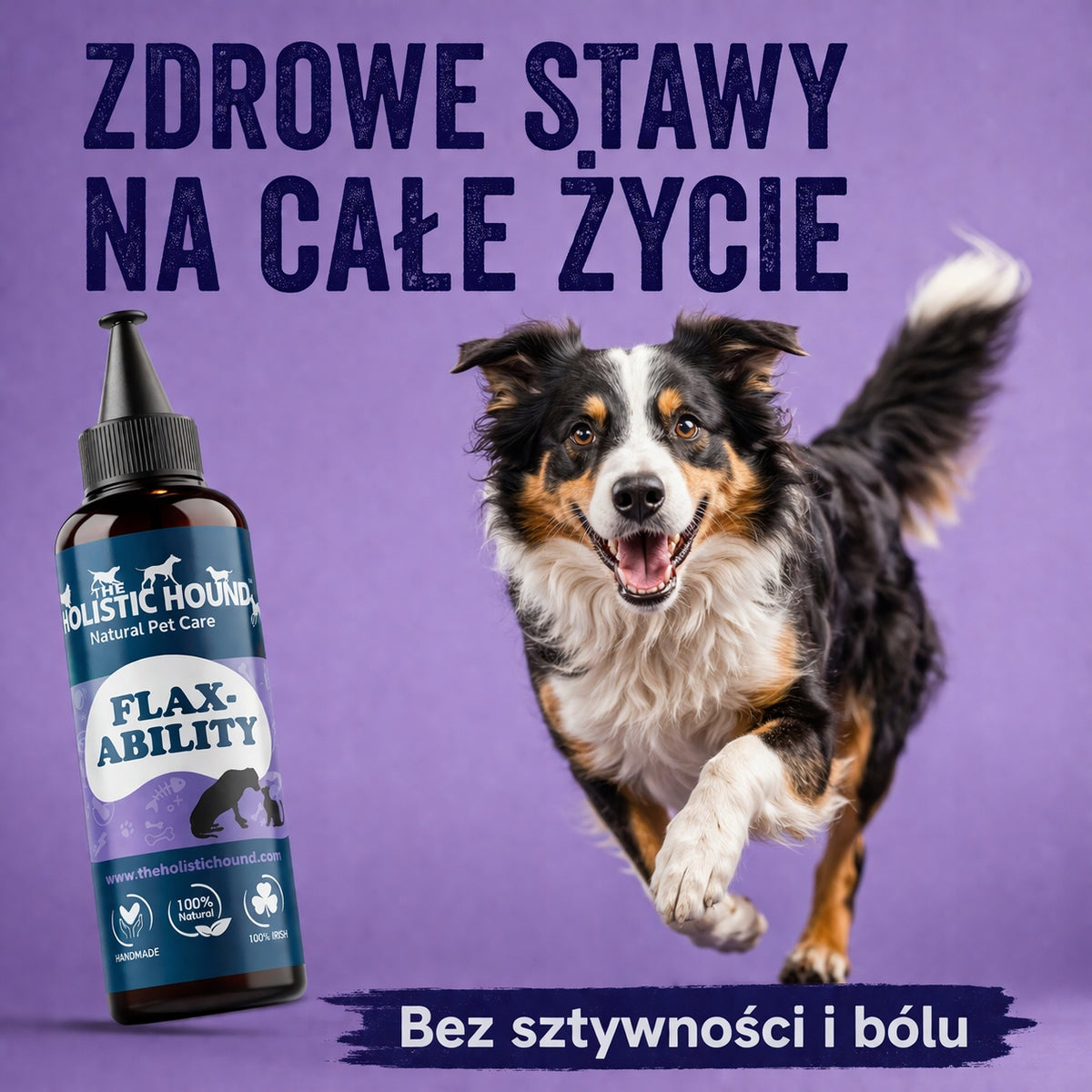 Suplement Na Stawy Dla Psa | Mobilność Kości i Mięśni | Omega 3 | 500ml