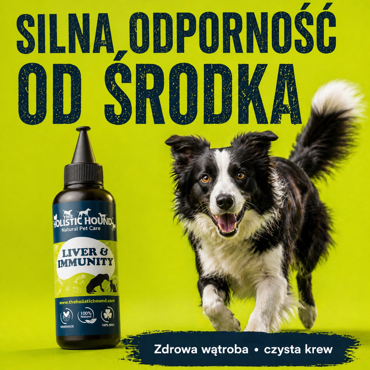 Suplement Na Wątrobę i Odporność Dla Psa | Omega 3 i Zioła | 500ml