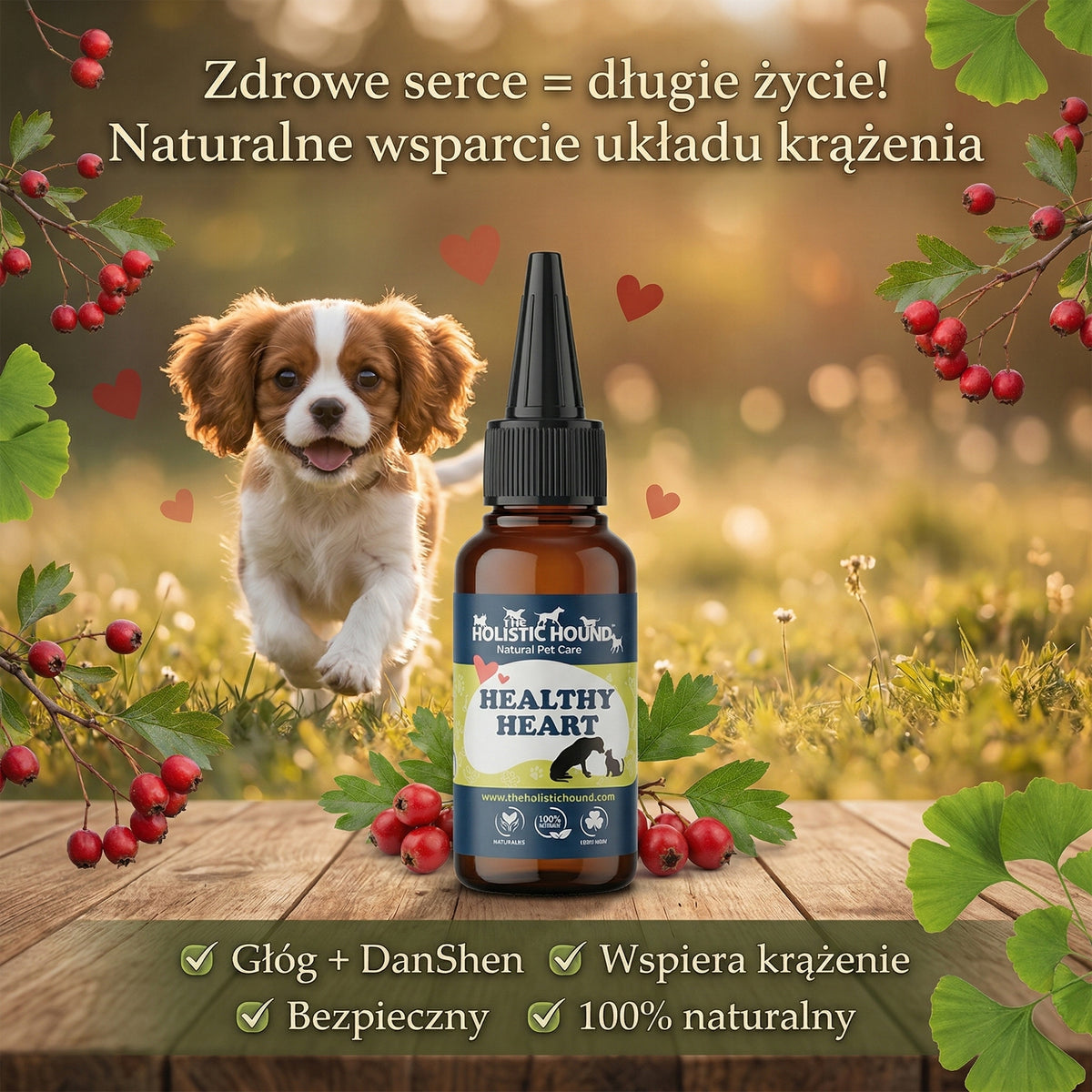 Ziołowy Suplement Na Serce Psa | Krążenie i Wydolność | Naturalny 50ml