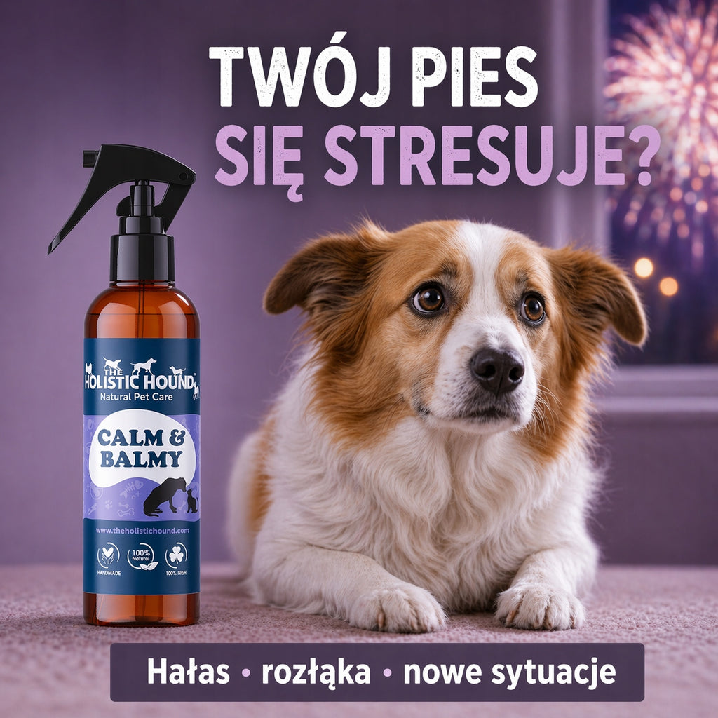 Holistic | Spray Uspokajający Dla Psa i Kota | Na Stres i Lęk | Ziołowy BIO