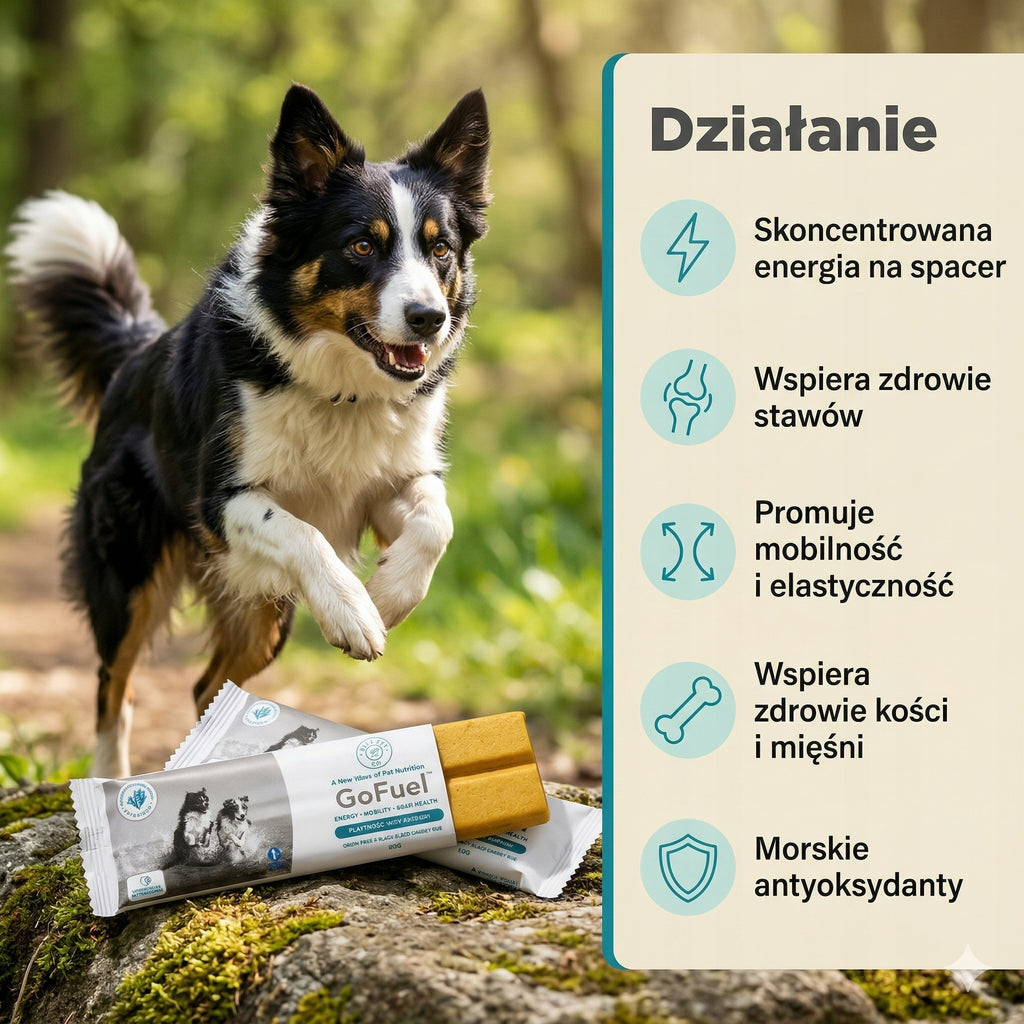 Naturalny baton energetyczny dla psa z alg morskich zestaw 5 sztuk