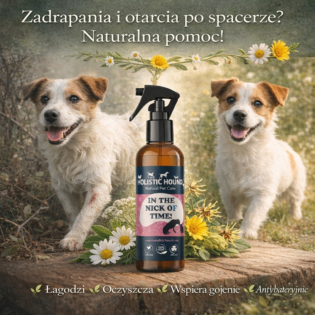 Holistic | Ziołowy Spray Na Rany Dla Psa| Otarcia Zadrapania | BIO Wegański