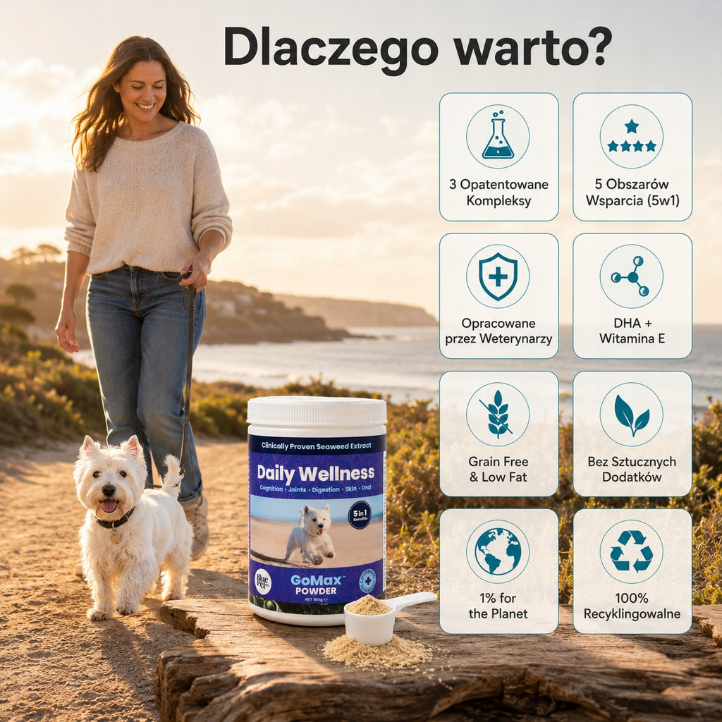 Suplement Na Stawy Skórę Trawienie Dla Psa 5w1 | Wodorosty | Proszek 180g