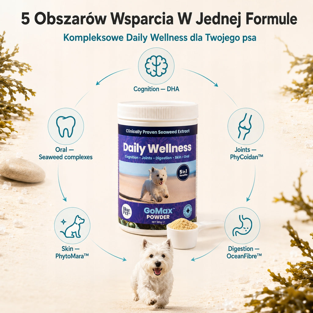 Suplement Na Stawy Skórę Trawienie Dla Psa 5w1 | Wodorosty | Proszek 180g