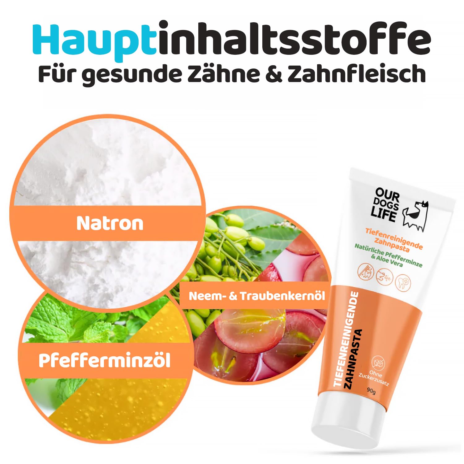 Zestaw 3w1 szczoteczka do Zębów Psa Kota NATURALNA Pasta 90g x2 +nakładka