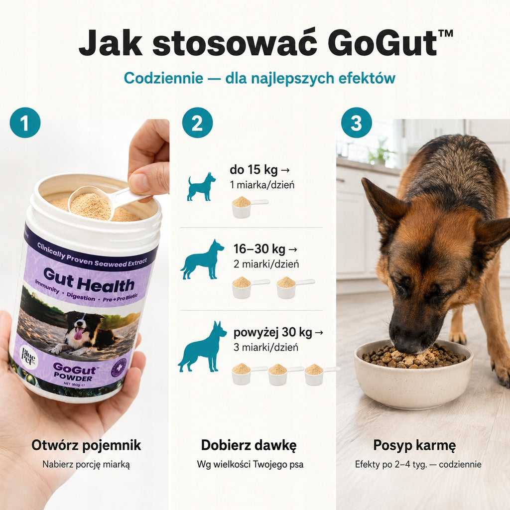 Suplement Na Trawienie i Jelita Dla Psa | Prebiotyk Probiotyk | 180g