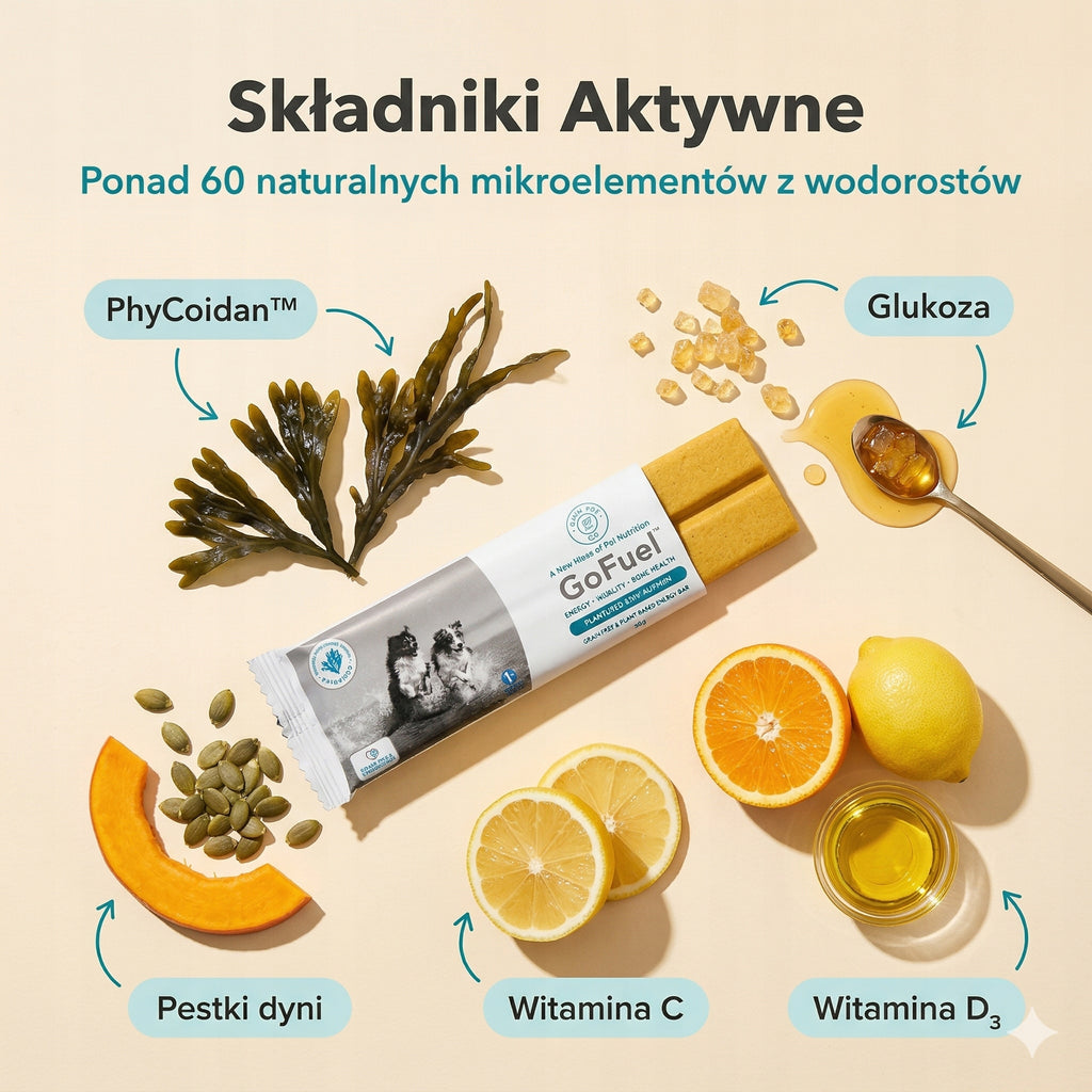 Naturalny baton energetyczny dla psa z alg morskich zestaw 5 sztuk