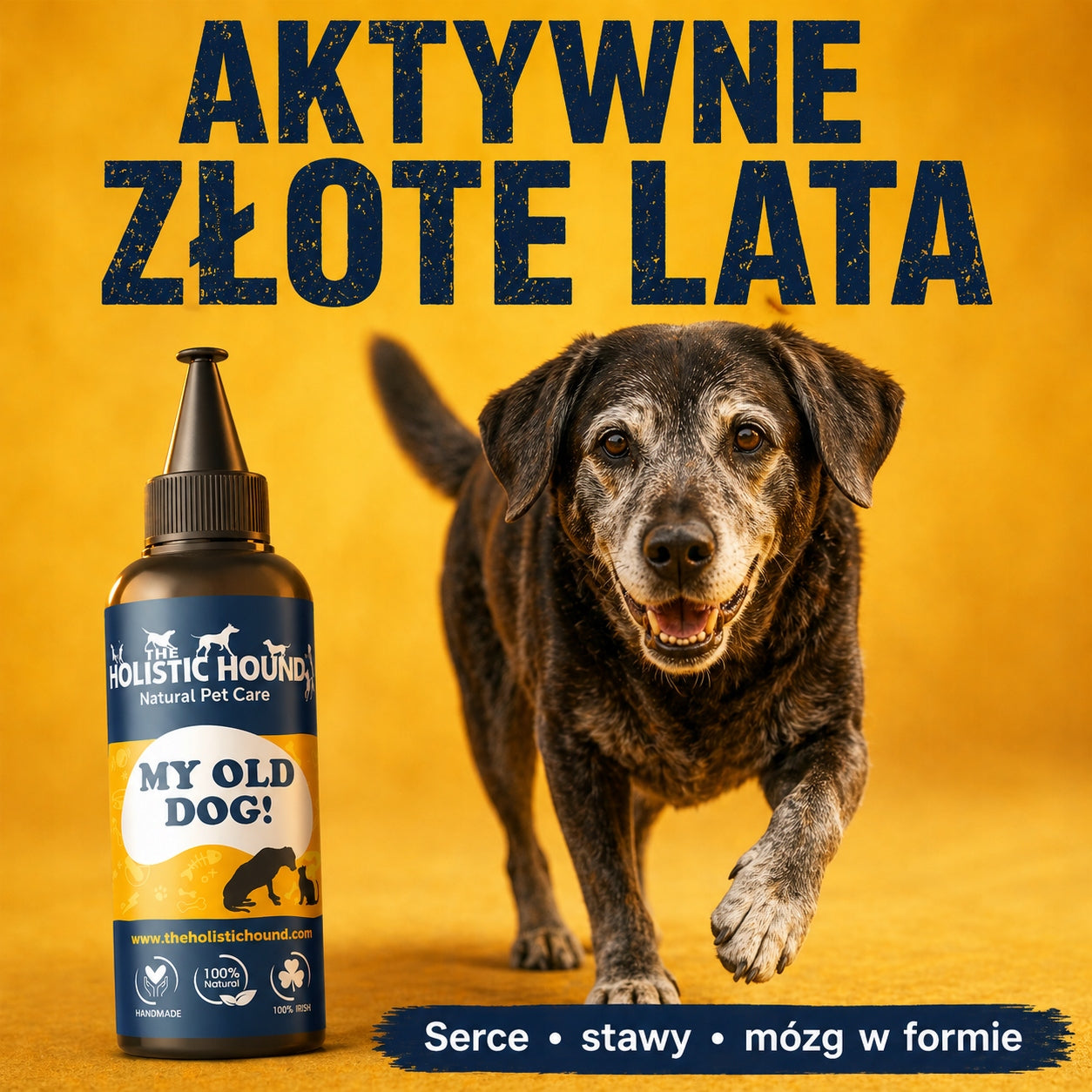 Ziołowy Suplement Dla Starszego Psa | Stawy, Serce, Mózg | 500ml