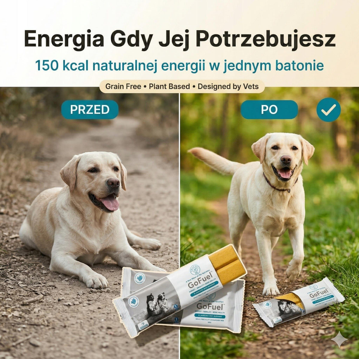 Naturalny baton energetyczny dla psa z alg morskich zestaw 5 sztuk