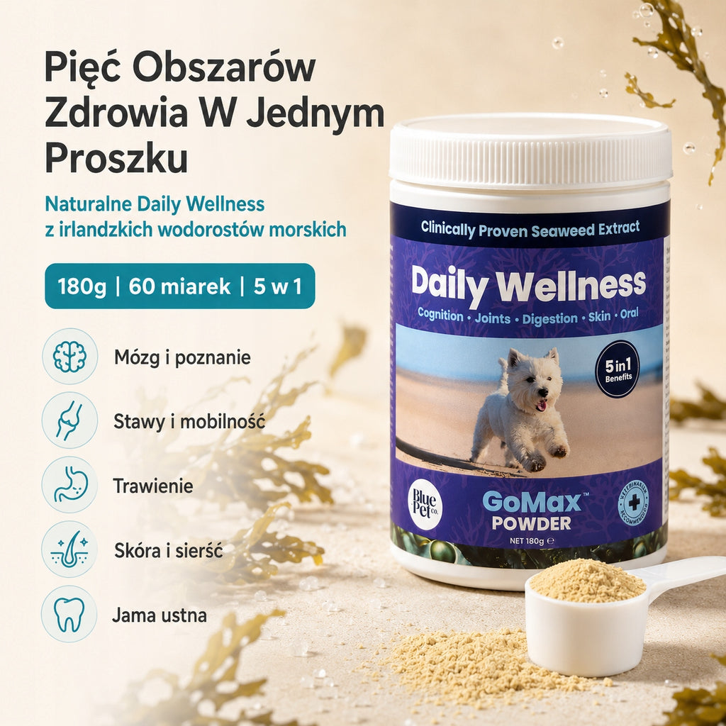 Suplement Na Stawy Skórę Trawienie Dla Psa 5w1 | Wodorosty | Proszek 180g