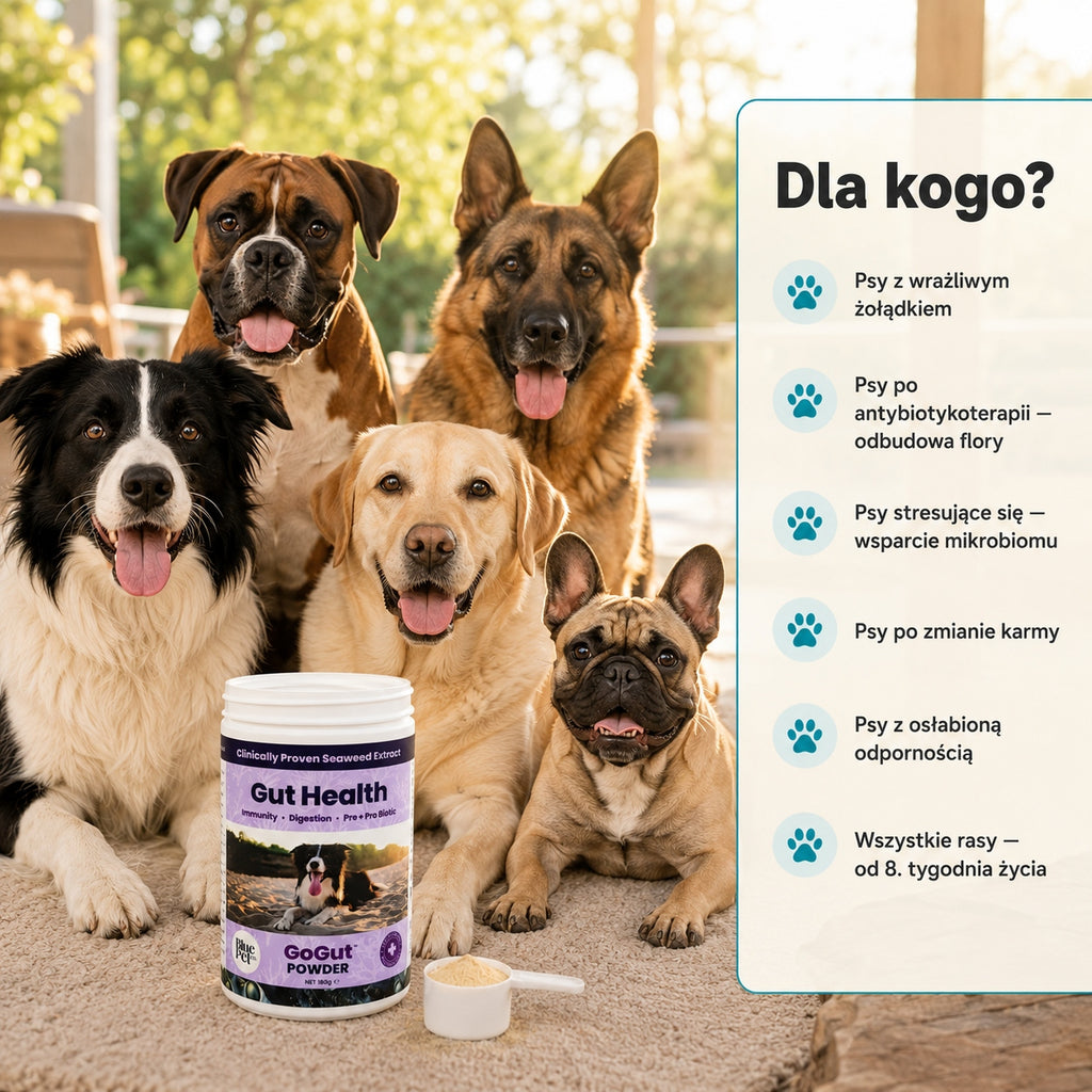 Suplement Na Trawienie i Jelita Dla Psa | Prebiotyk Probiotyk | 180g