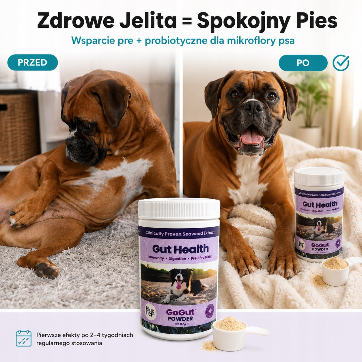 Suplement Na Trawienie i Jelita Dla Psa | Prebiotyk Probiotyk | 180g