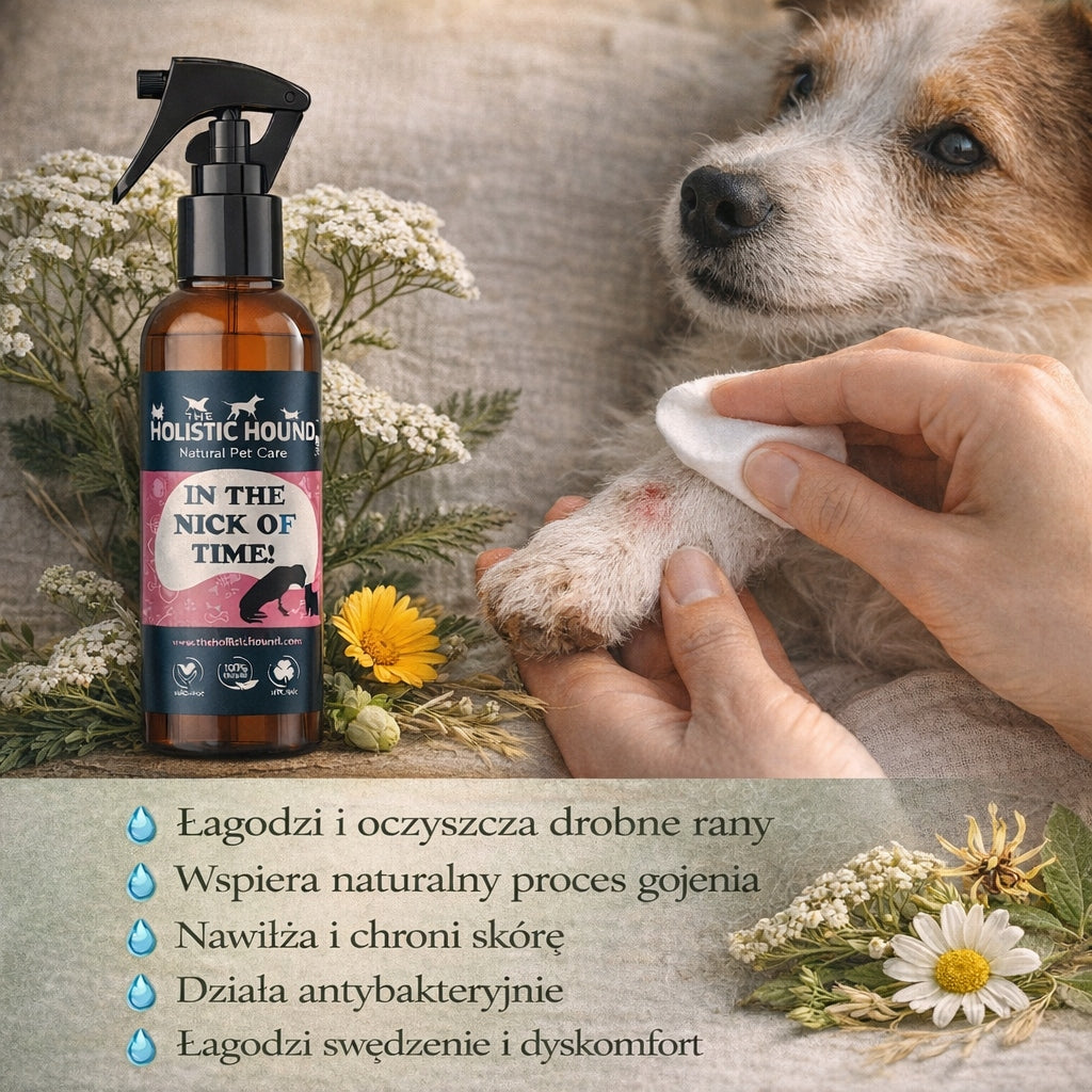 Holistic | Ziołowy Spray Na Rany Dla Psa| Otarcia Zadrapania | BIO Wegański
