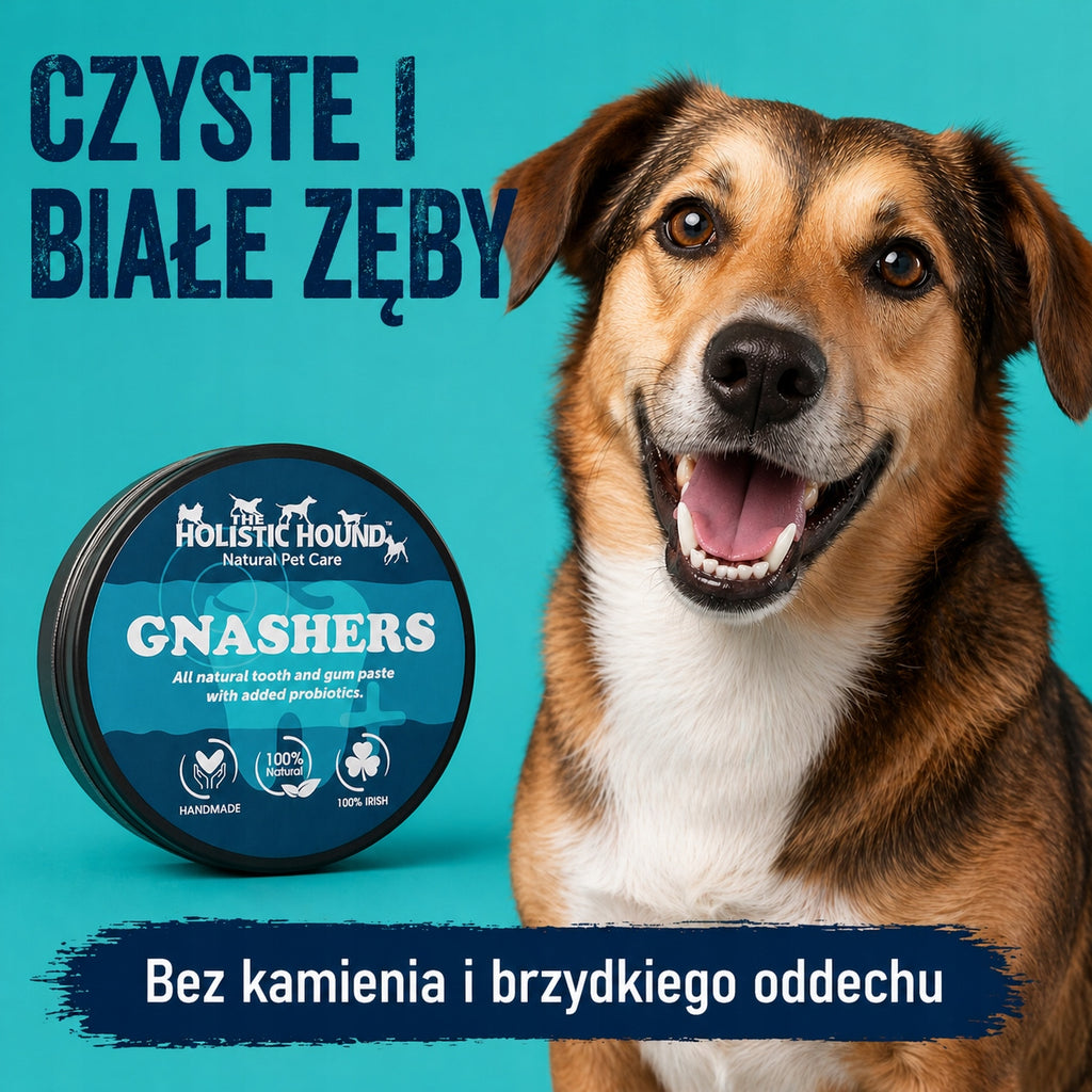 Pasta Na Kamień i Nieświeży Oddech Dla Psa | Probiotyki + Zioła | 50ml