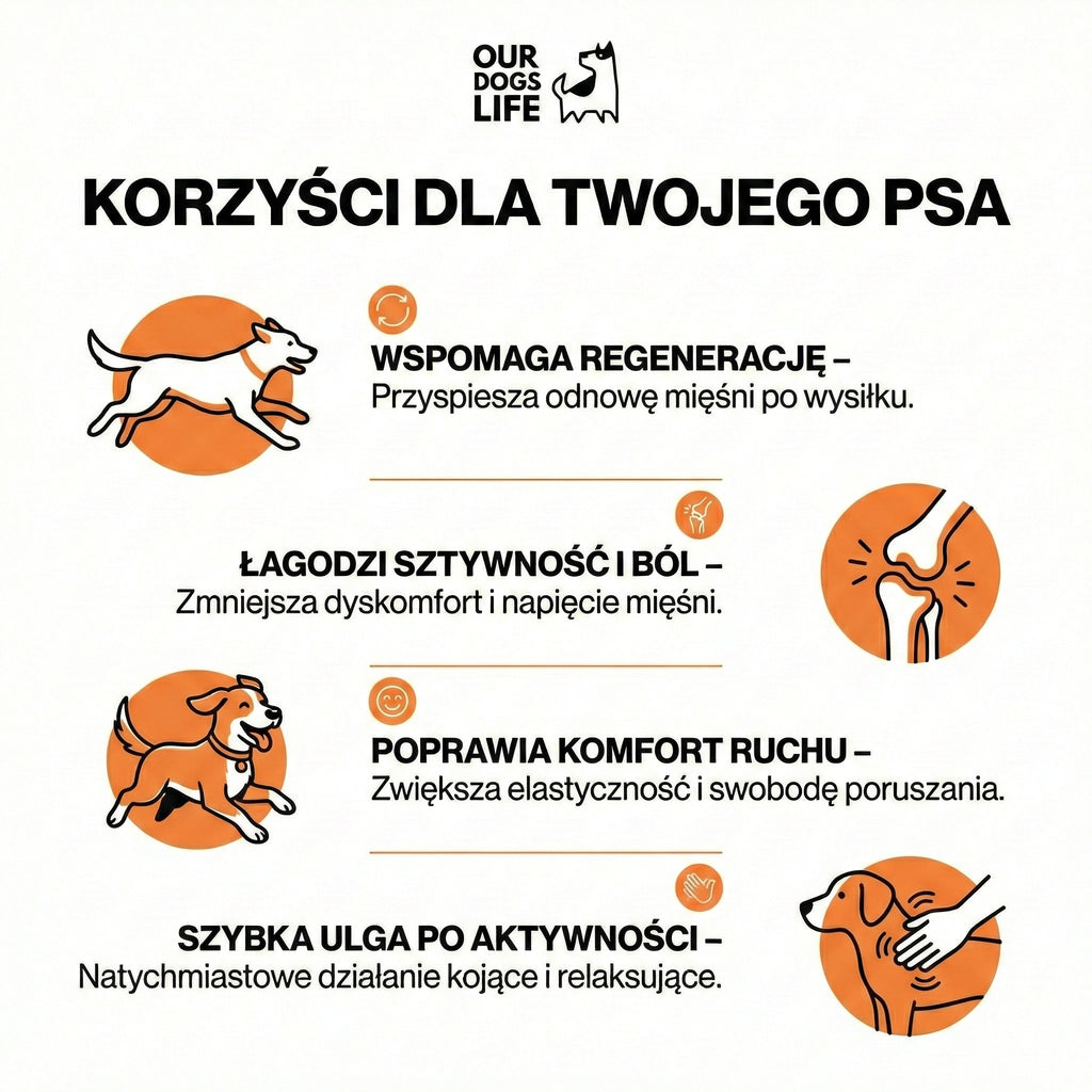 Żel Maść Płyn na Stawy i Mięśnie dla Aktywnych Psów, Ulga | Sól Epsom | MSM