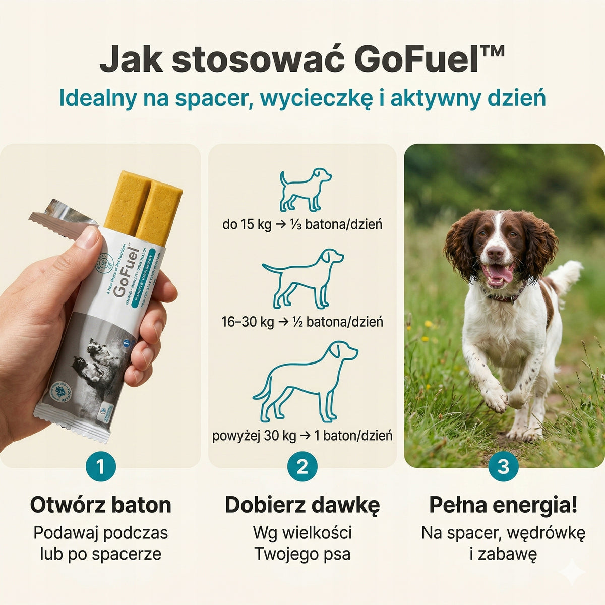 Naturalny baton energetyczny dla psa z alg morskich zestaw 5 sztuk