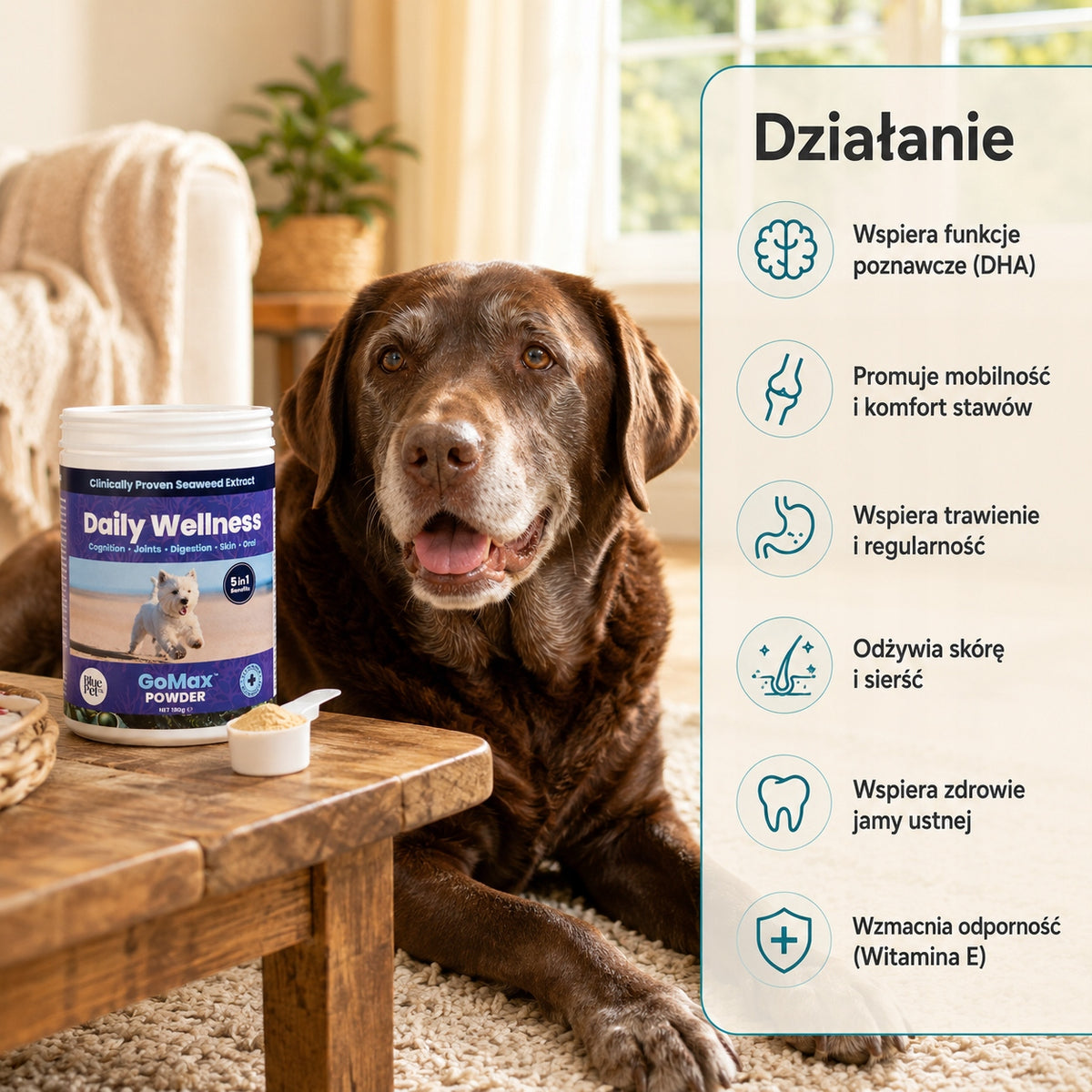 Suplement Na Stawy Skórę Trawienie Dla Psa 5w1 | Wodorosty | Proszek 180g